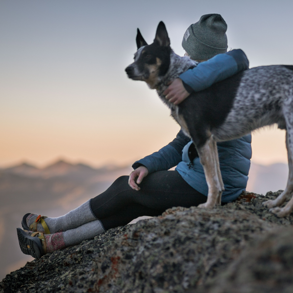Hiking with Your Dog this Fall: The Do's and Don'ts