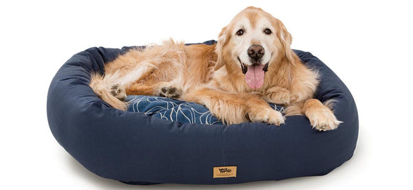 West Paw Announces New Bumper Bed With Cotton