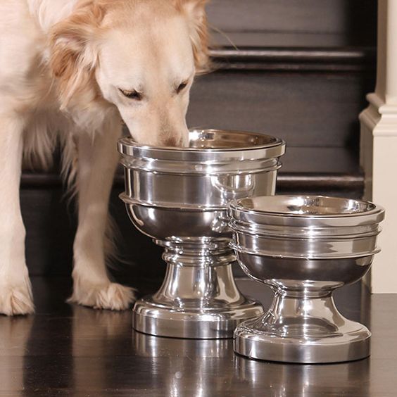 Raised Pet Dishes - The Best Dog-Friendly Feeding Option