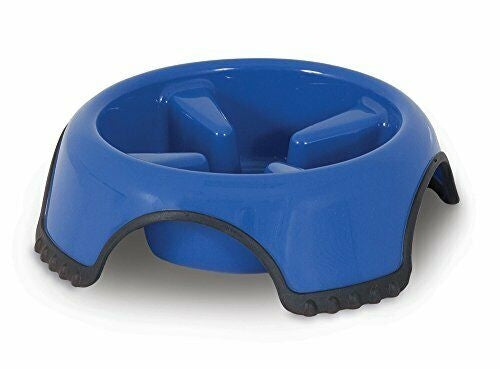 Skid Stop Slow Feed Bowl Large