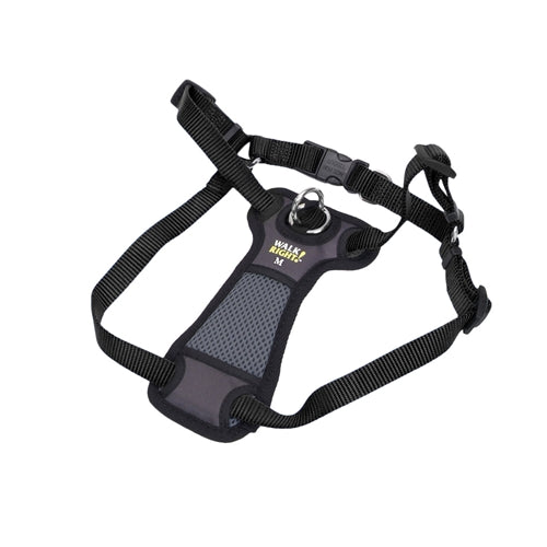 Coastal Walk Right Front-Connect Padded Dog Harness