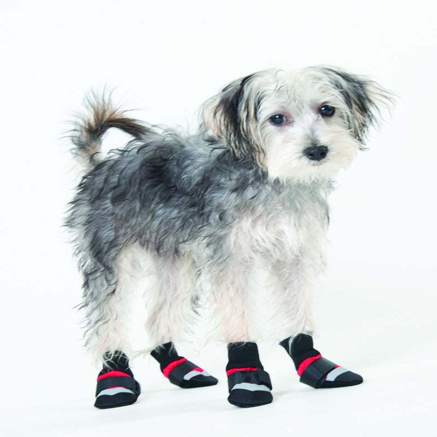 Fashion Pet Extreme All Weather Boots Red, Black