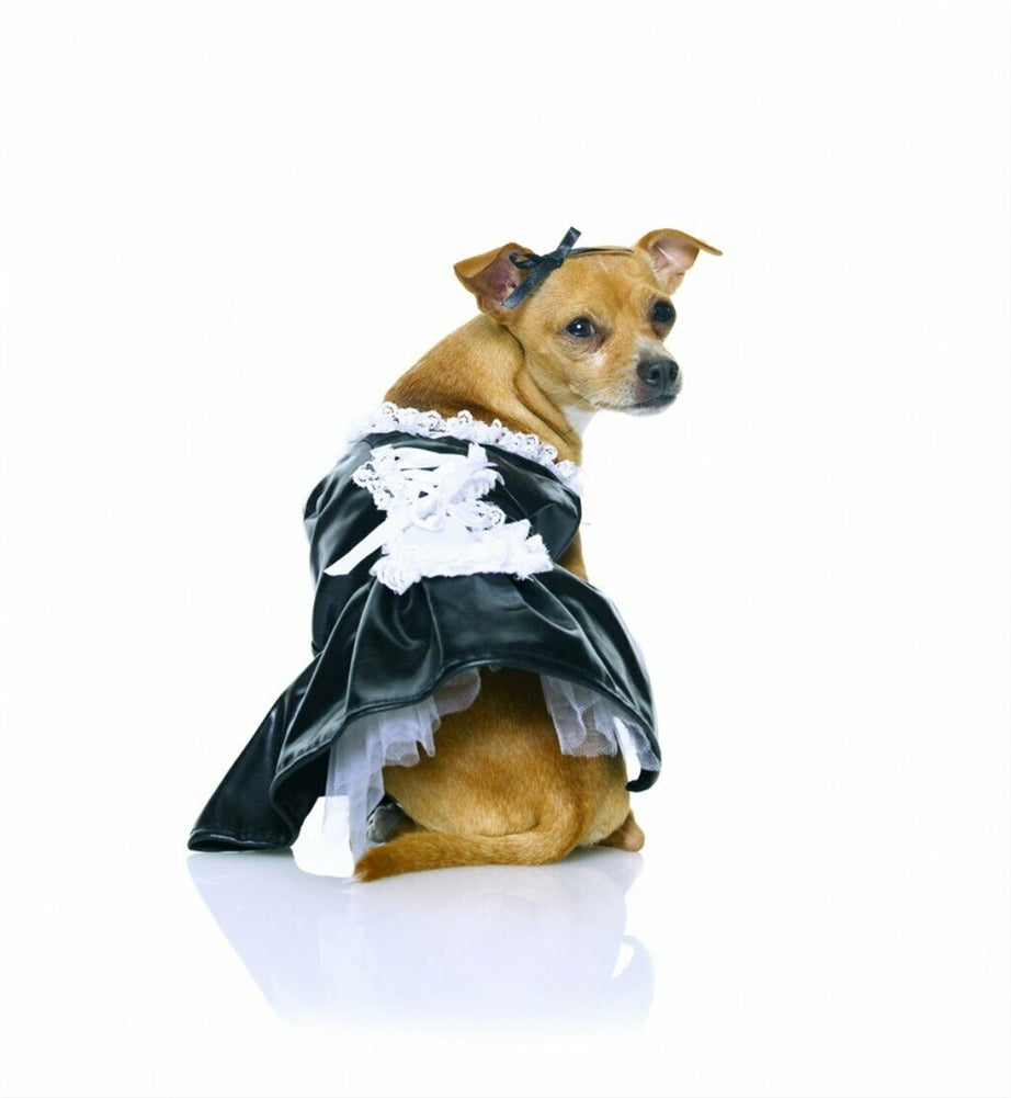 Rubies-French Maid Pet Costume-S