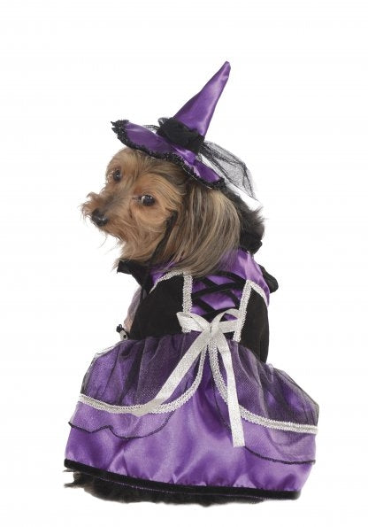 Rubies Purple Witch Pet Costume S