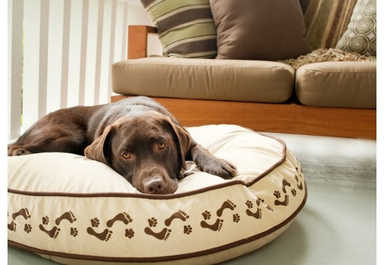 Footprints Round Dog Bed by P.L.A.Y. - Khaki/Chocolate