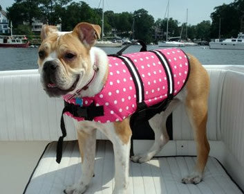 Pink Polka Dot Dog Life Jacket by Paws Aboard