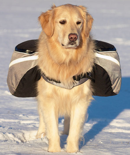 Extreme Dog Backpack by Doggles