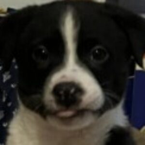 Profile photo of hyohyuhyun