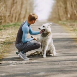 Group logo of Dog Sitter